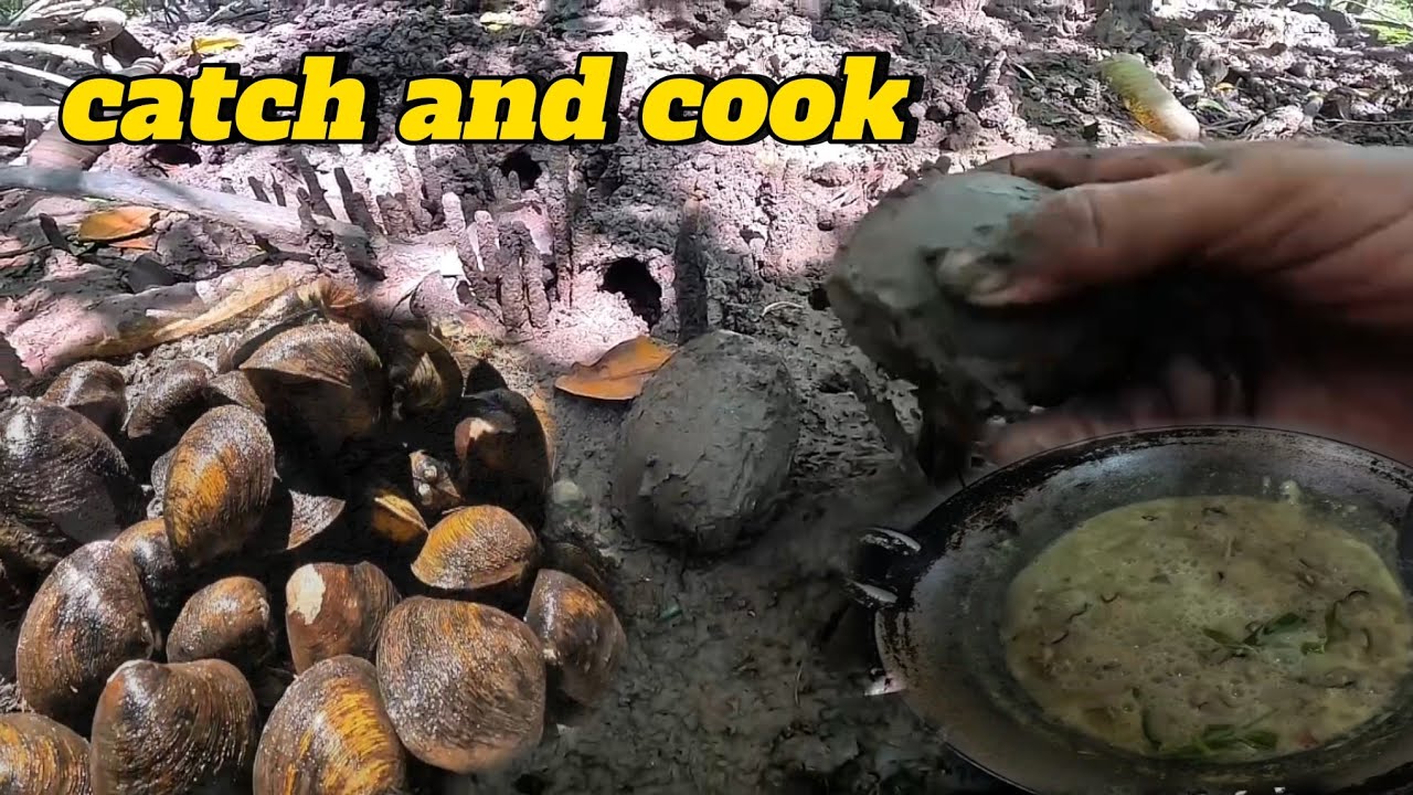 CARI LOKAN PAYA BAKAU DAN TERUS DIMASAK..#lauk#lokan#baganlalang