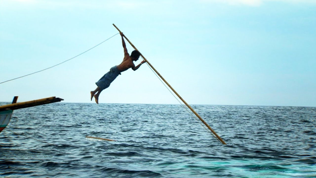 Homme VS grand cachalot ! - ZAPPING NOMADE