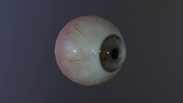 Realtime Eye