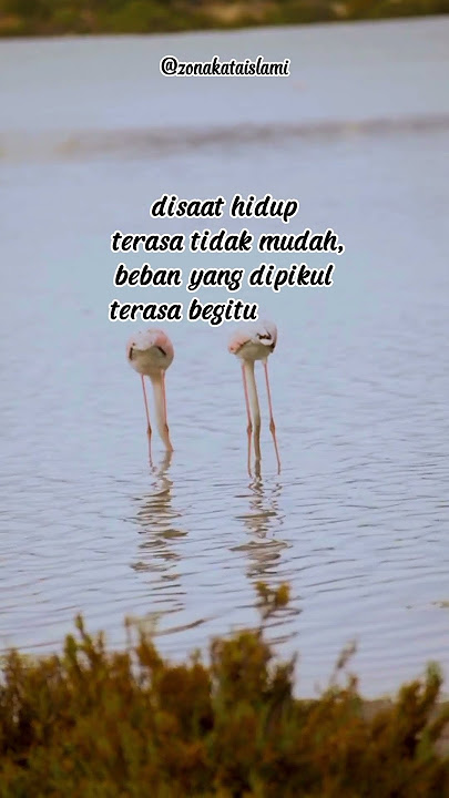 Kenapa Cobaan Hidup ini tak kunjung Usai #shorts #selfreminder #zonakataislami #kontenislami