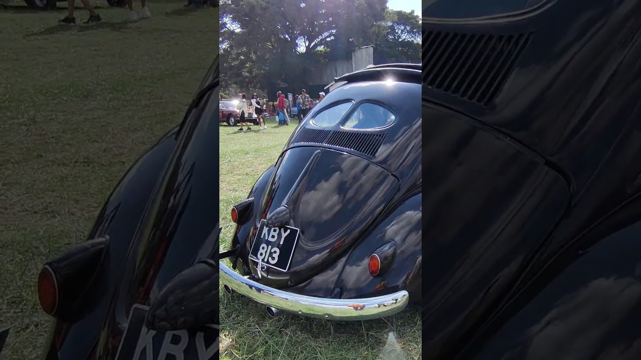 for the classic enthusiasts, what engine and model vw is this?