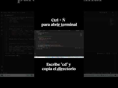 Cómo organizar archivos automáticamente con Python (ANTES y DESPUÉS)