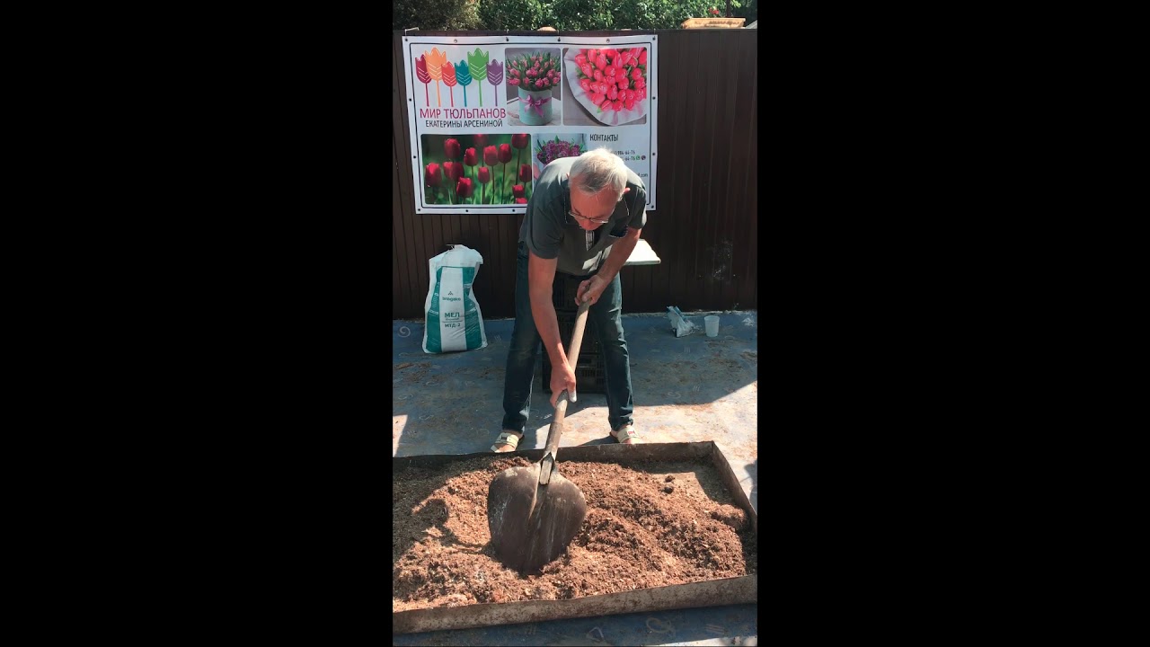 Грунт для выгонки тюльпанов
