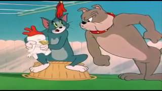 Tom And Jerry English Episodes - Slicked-up Pup - Cartoons For Kids Tv