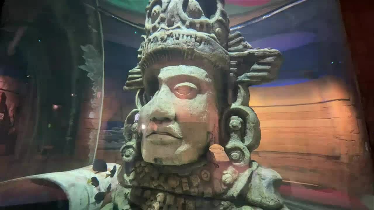 Touring the new Audubon Aquarium