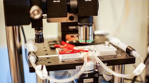 Microscope creates near-real-time videos of nanoscale processes