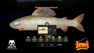 Трофейный хариус восточный + карта! ◦ Русская рыбалка 4 ◦ 🎣👍🐬