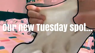 Our New Tuesday Spot...