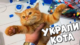 Лего КИТАЙЦЫ УКРАЛИ МОЕГО КОТА