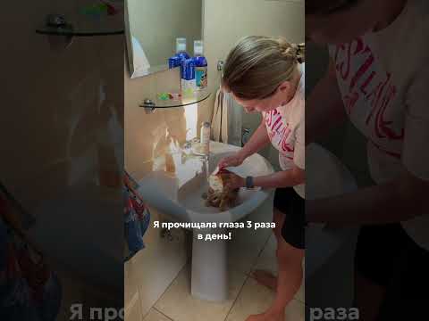 Как мы спасли котов? #материнство #podcast #психология