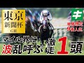 東京新聞杯 2022 【予想】推定９番人気！「あの★大器」がマイル界に波乱を呼ぶ！