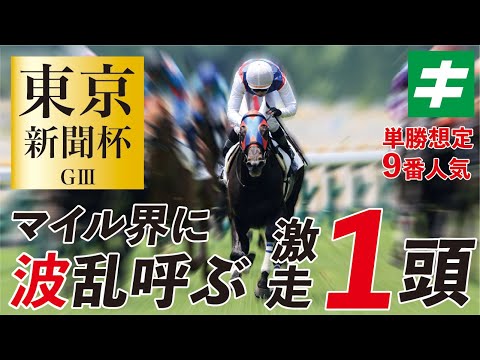 東京新聞杯 2022 【予想】推定9番人気!「あの★大器」がマイル界に波乱を呼ぶ!