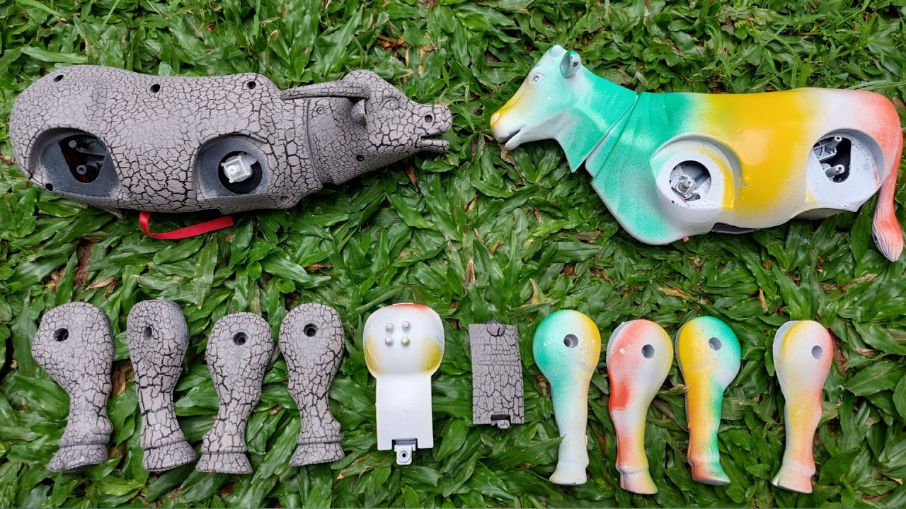 wadidaw..! menemmukan sapi, kuda, kerbau, kangguru, ayam, mencari sapi