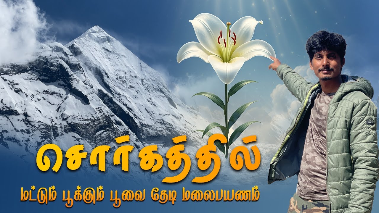 😱அபூர்வ பூவா?.. 🤔தேடி போலாமா?.. - Panchachuli Base Camp Trek 2025 | Darma Valley Uttarakhand