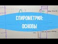 ДЫХАНИЕ: Спирометрия / Легочные объемы / Функция внешнего дыхания (ФВД)