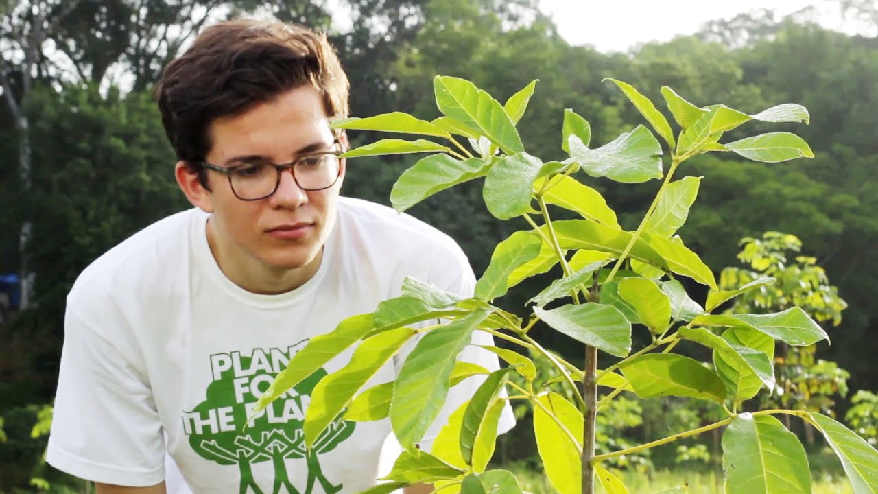 Wie wir Kinder die Welt retten - Intro-Video Plant-for-the-Planet