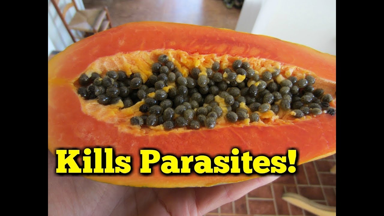 papaya bra för magen papaya bra för magen