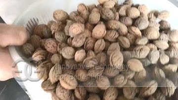 Peach Seed Cracking Machine|Almond Cracker From cara@machinehall.com