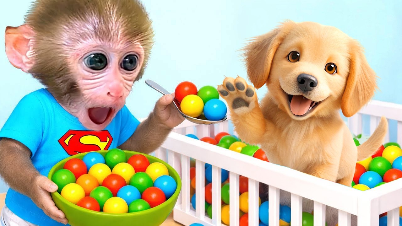 Macaquinho Bon Bon toma conta dos cachorrinho e vai comprar carrinhos de brincar Monster Trucks