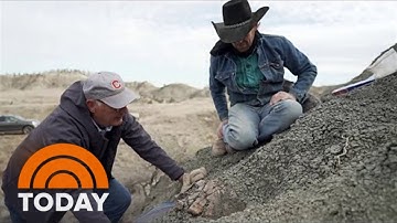 Meet The ‘Dinosaur Cowboy’ Who Discovered Fossils In Montana