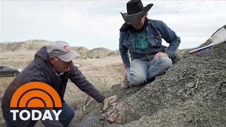 Meet The ‘Dinosaur Cowboy’ Who Discovered Fossils In Montana