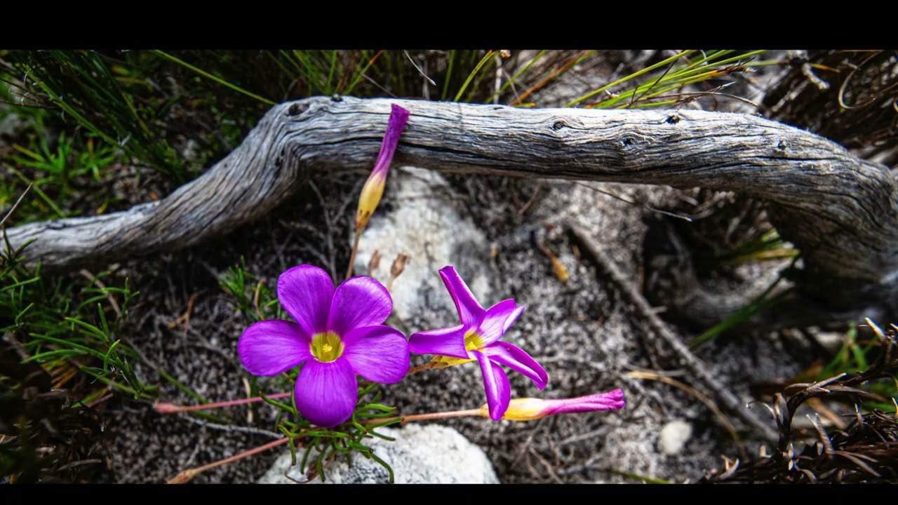 Pringle Bay & Surrounds Scenic Video High Res2
