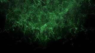 Dust Fall Stock Video