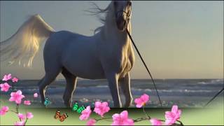 Ride On / Celtic Woman