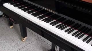 Yamaha Disklavier and GB1 - Mozart Piano Sonate no.15 k. 545 C Major 1st Movement