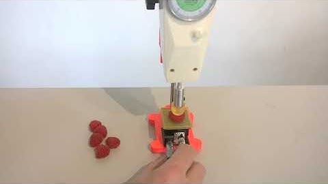 Agrosta Texture Analyzer