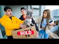 I SOLD MY GIRLFRIENDS PUPPY!