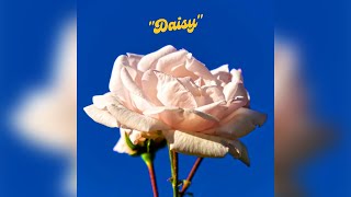 Delorians - Daisy