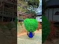 Peacock Dancing Cartoon Viral Viralshort Viralvideo Peacock Animation Story