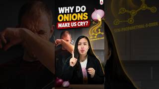 Why Do Onions Make You Cry? 😭 Science Explained! #Onion #Science #Facts