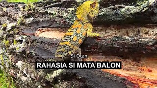 [FULL] Rahasia Si Mata Balon  | SI OTAN (14/04/22)