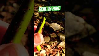 Real VS Fake. #Fishing #Nature #BassFishing #Reels #FYP #fypシ゚viral #FishingGear #fishingequipment