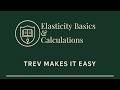 Elasticity Basics and Calculations | Trev on Econ