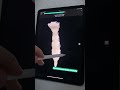 ✅ 3D Тесты по Анатомии грудины🔥 Приложение: Easy Anatomy #анатомия