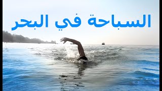 Open-water | تكنيك السباحة في البحر