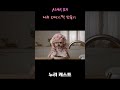 ASMR 요리 제주 오메기떡 만들기 #dog #반려견 #강아지 #maltese #말티즈 #asmr #malteselovers #cute