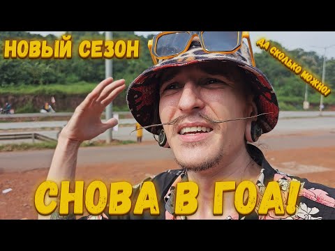 ГОА ГРИНЧ НОВЫЙ ИНДИЙСКИЙ СЕЗОН