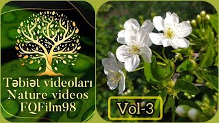 Yaz Fesli Tebiet Videolari Vol-3 Fqfilm98