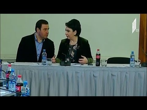 შეხვედრა „სიფას“ წარმომადგენლებთან