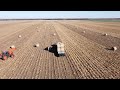 Picking Up & Hauling in 200+ SHUCK BALES | Harvest 2020