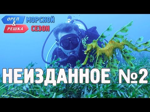 Орёл и Решка. Морской сезон/По морям - Неизданное №2