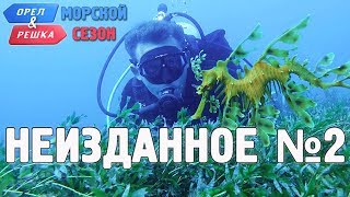 Орёл и Решка. Морской сезон/По морям - Неизданное №2