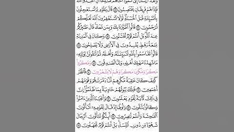 سورة النمل من آية 45 الى 55