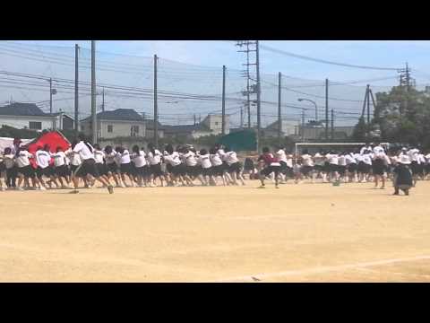 古ヶ崎中学校・体育祭・綱引き2