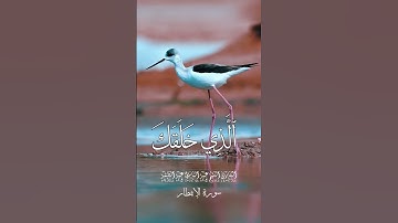 الشيخ عبدالباسط عبدالصمد سورة الإنفطار #الشيخ_محمد_صديق_المنشاوي #الشيخ_عبدالباسط_عبدالصمد