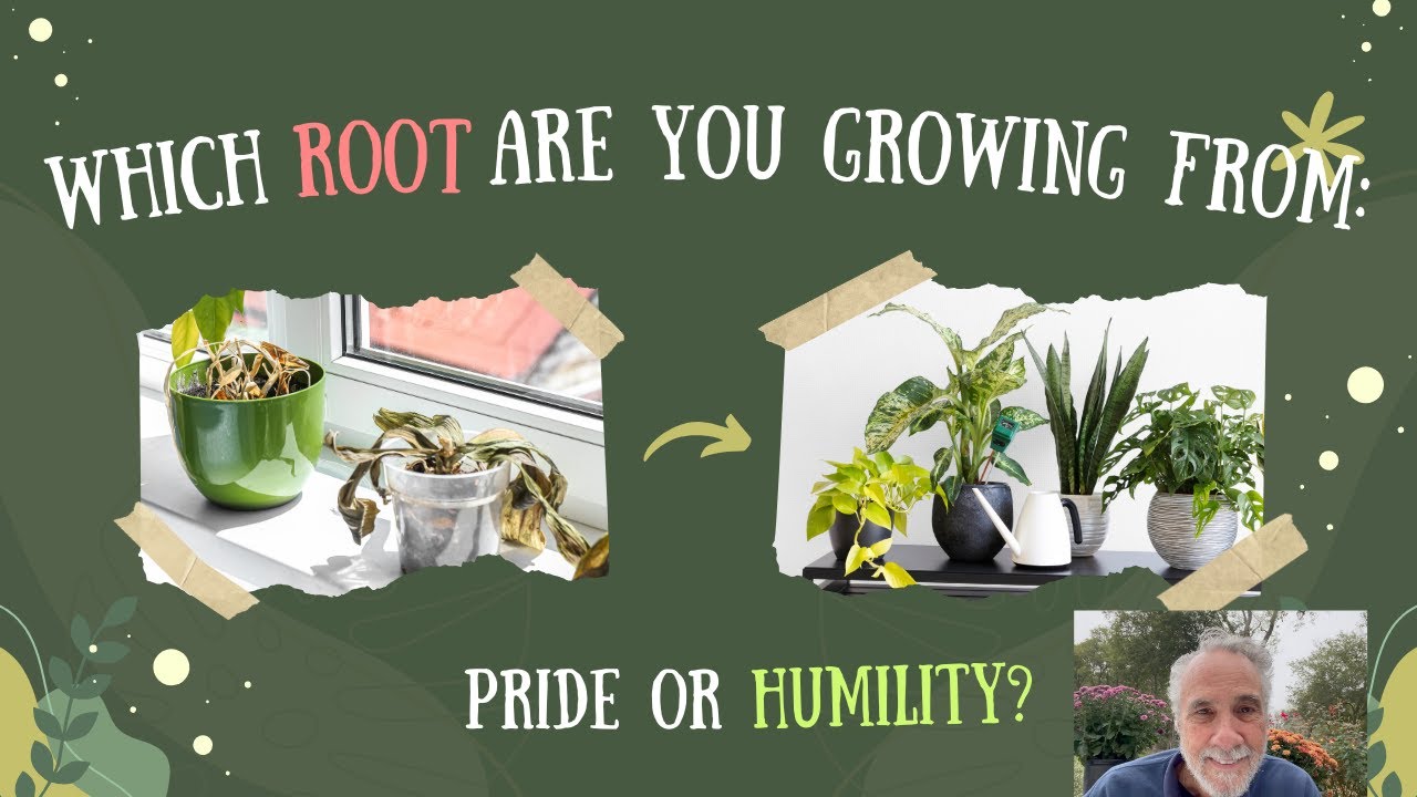 WHICH ROOT ARE YOU GROWING FROM: PRIDE OR HUMILITY? - YouTube